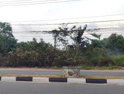 Pembakaran Sampah Picu Kebakaran Lahan di Depan Kantor Bawaslu Kepri