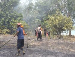 Kebakaran Hutan di Lingga Hanguskan 1 Hektare Kawasan Pantai Pasir Panjang