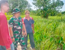 Babinsa Koramil 06/KTM Perkuat Pengawasan SDM dan Edukasi Warga Cegah Karhutla di Tagaraja