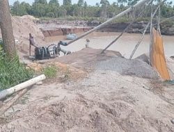 Hanya Tiga Perusahaan Resmi Tambang Pasir di Bintan, Selain Itu Illegal