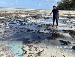 Pantai Trikora Kembali Dilumuri Limbah Minyak, Negara Dituding Abai Kejahatan Laut Berulang