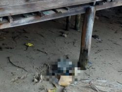 Warga Lingga Geger Penemuan Kerangka Mirip Manusia di Desa Sekanah