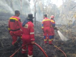 Dua Titik Kebakaran Landa Singkep Barat Lingga, 15 Hektare Kebun Hangus