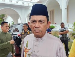 Gubernur Kepri, Respons soal Temuan TKA Tanpa RPTKA di KEK Galang Batang