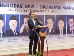 Mundur dari Ketua DPW NaDem Kepri, Amsakar Achmad Ungkap Alasannya