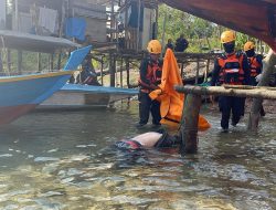 Hari Ketiga Pencarian, Nusyirwan Korban Loncat dari Jembatan 5 Barelang Ditemukan Meninggal Dunia