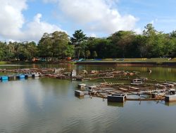 Air Mancur Rp12 Miliar di Bintan Mangkrak, Proyek Fantastis Ini Kini Rusak