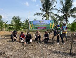 Sinergi Polri dan Petani di Kateman, Penanaman Jagung Hibrida Perkuat Ketahanan Pangan