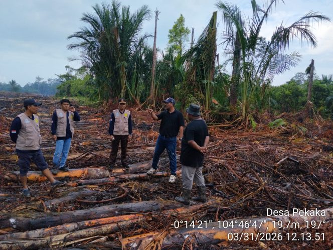
					Lahan Sagu Pekaka Lingga, PT CSA Klaim Tak Sengaja, Pemda Minta Hentikan Land Clearing