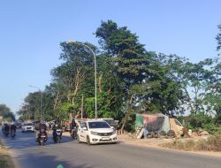 Jalan Tengku Sulung Sampai Saat Ini Belum Terlihat Adanya Aktifitas Pelebaran, Lapak PKL Kembali Menjamur