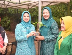 Bantuan Bibit Cabai untuk Masyarakat Kepri Mulai Disalurkan