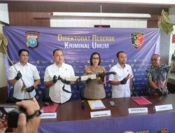 Batam Heboh! 300 Pohon Jati Emas Ditebas, Pelaku Diamankan di Hutan Duriangkang