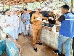 Jelang Iduladha, Ribuan Hewan Kurban Berlabel SL Dipastikan Sehat dan Aman