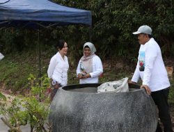 BP Batam Kecam Perusakan Puluhan Tanaman Bugenvil, Ariastuty: “Tindakan Vandalisme Ini Ciderai Semangat Kolektif Program Penataan Kota”