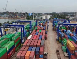 Volume Peti Kemas Direct Call Tembus 58 Ribu TEUs, TPK Batu Ampar Kian Kokoh sebagai Gerbang Logistik Internasional