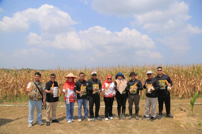 
					Panen Jagung di Senggarang, Wali Kota Lis Darmansyah Apresiasi Produktivitas Petani Gen Z