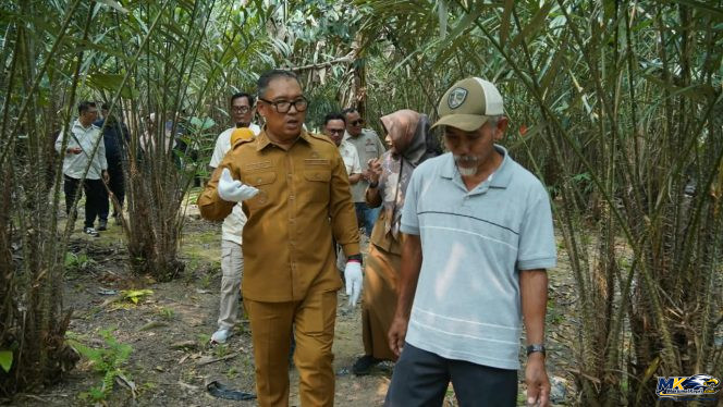 
					Wagub Kepri Nyanyang Haris Pratamura melakukan kunjungan lapangan di Perkebunan Salak Sari Intan, Gesek, KM 25, Bintan, Senin (12/10/2026). 