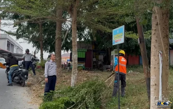 
					SI-PIJAR Dorong Efisiensi Penerangan Jalan Umum Tanjungpinang